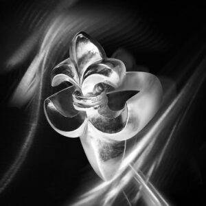 Fleur de Lys